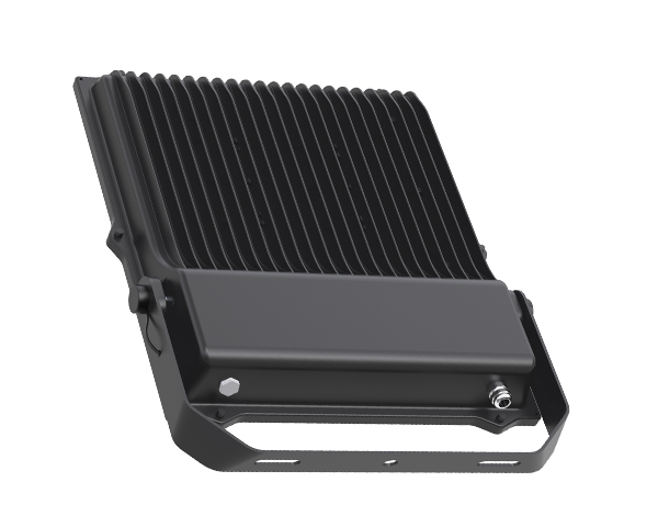 Flood Light