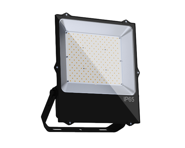 Flood Light