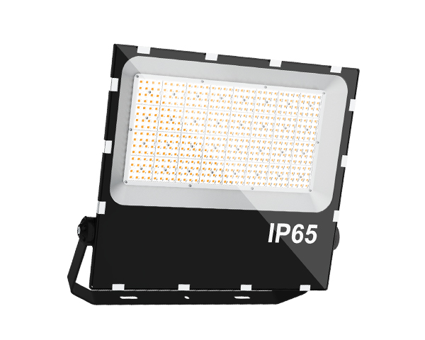 Flood Light