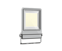 Flood Light